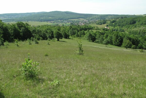 L’évolution des pelouses calcaires en Bourgogne Franche-Comté