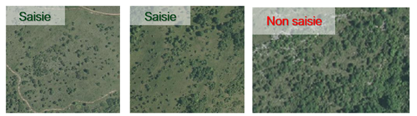 Évolution des pelouses calcaires : guide de photo-interprétation