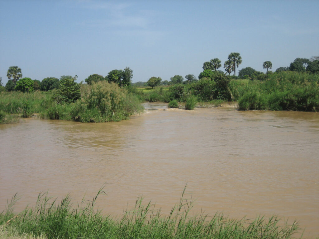 Bassin au Nigéria