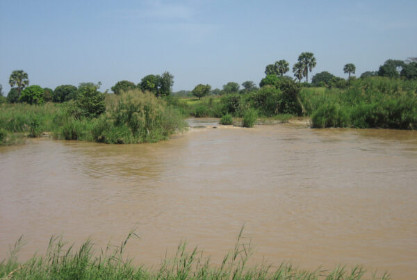 Bassin au Nigéria